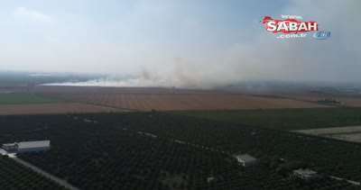 Anız yangınları Adana’yı boğuyor... Tahribat havadan böyle görüntülendi!