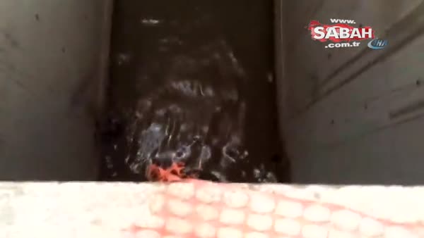İnşaatta biriken suyun içinde mahsur kalan köpeğin kurtarılma anı kamerada