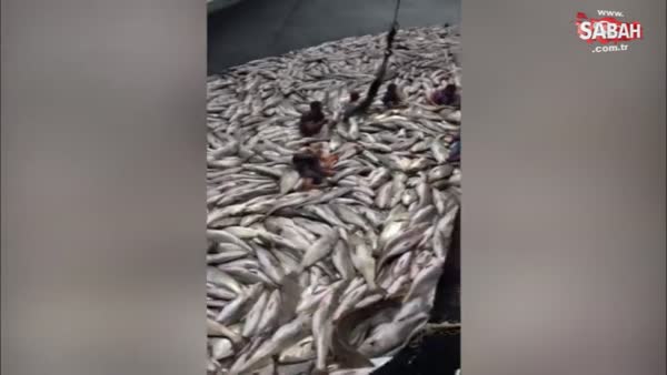 Türk denizcilerin okyanusta balık avı
