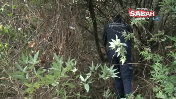 Antalya'da falezlerde erkek cesedi bulundu