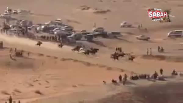 Cezayir'de yarışan atlarla polis aracı çarpıştı