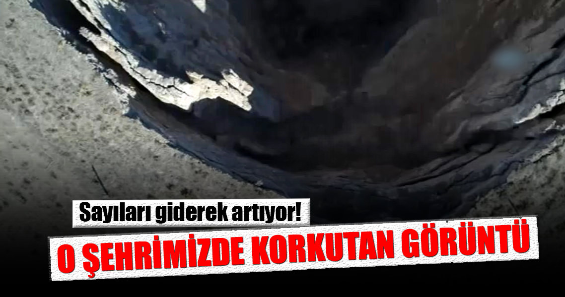 O şehrimizde korkutan görüntü: Sayıları giderek artıyor!