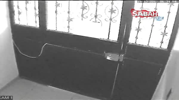 Girdikleri dairede ev sahibi ile karşılaşan hırsızlar kamerada