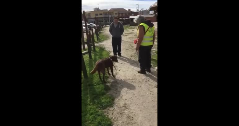 3 yıl sonra eski sahibiyle buluşan köpeğin duygulandıran tepkisi!