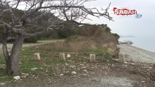 Kuşadası Milli Parkı'nda Akdeniz Foku görüntülendi