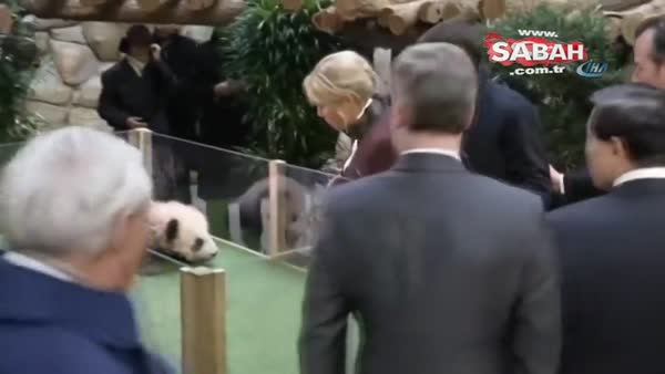 Yavru panda, Brigitte Macron'a saldırdı