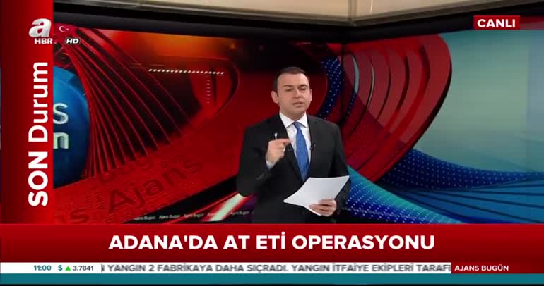 Adana'da at ve eşek eti operasyonu