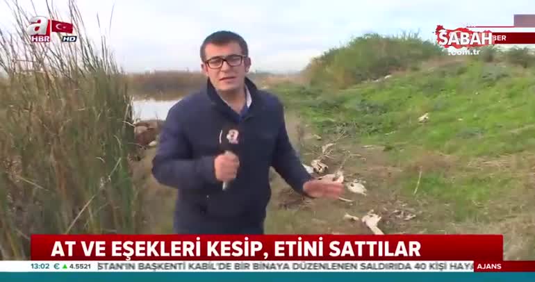 Gıda teröristleri tonlarca at ve eşek etini piyasaya sürdü