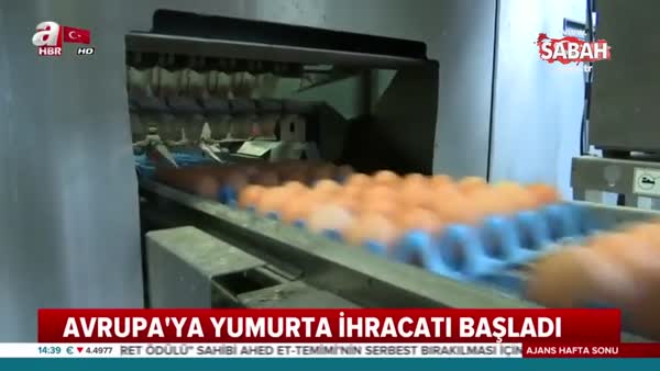 Avrupa'daki yumurta krizine Türkiye çare oldu
