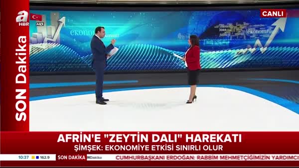 Başbakan Yardımcısı Mehmet Şimşek 