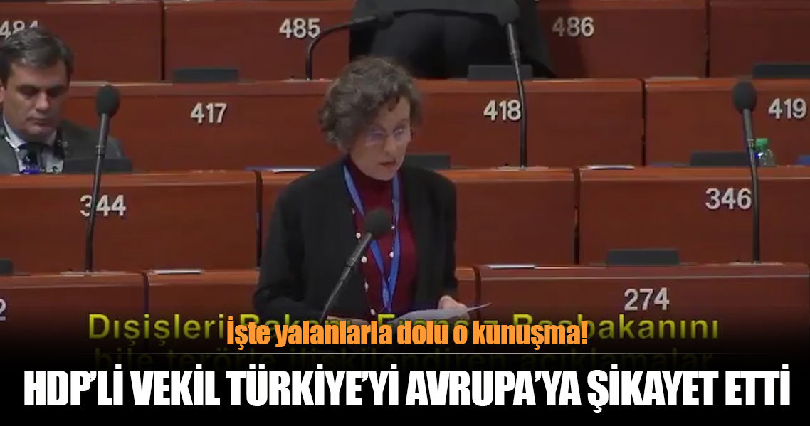 HDP'li Filiz Kerestecioğlu, Türkiye'yi Avrupa'ya şikayet etti