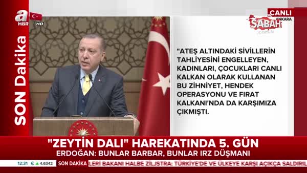 Operasyona neden Zeytin Dalı adı verildi? Cumhurbaşkanı Erdoğan açıkladı...
