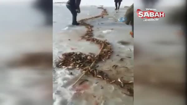 Ağrı’da buz tutan derede balık tutan vatandaşların sevinci