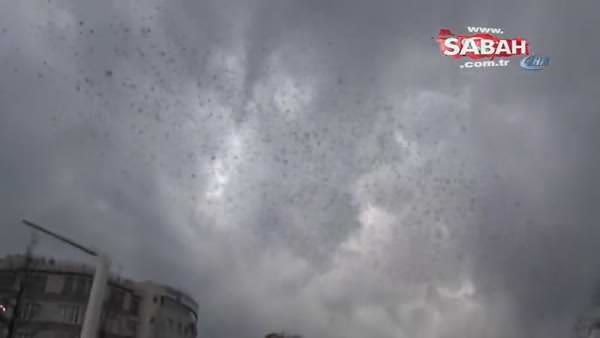 Taksim’de sığırcık kuşlarının dansı böyle görüntülendi