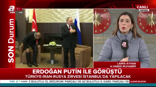 Cumhurbaşkanı Erdoğan, Putin ile Afrin ve İdlib'i görüştü