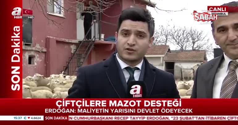 Çiftçilere müjde üzerine müjde! Devletten 300 baş koyun desteği