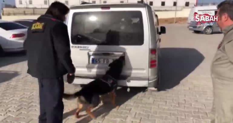 Narkotik köpeği Efes, uyuşturucuyu böyle buldu