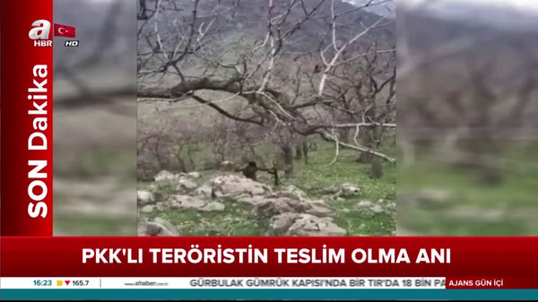 PKK'lı teröristin teslim olma anı kamerada!