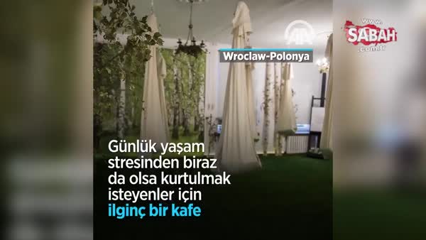 Polonya'da 'Vinci Power Nap Sleep Cafe' açıldı