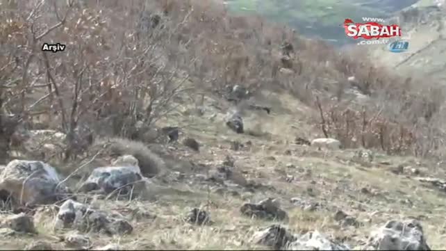 Mehmetçik Kuzey Irak'ta operasyonlara devam ediyor