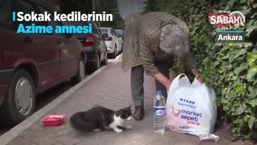 Maaşını sevgi sözcükleri fısıldadığı sokak kedilerine harcıyor