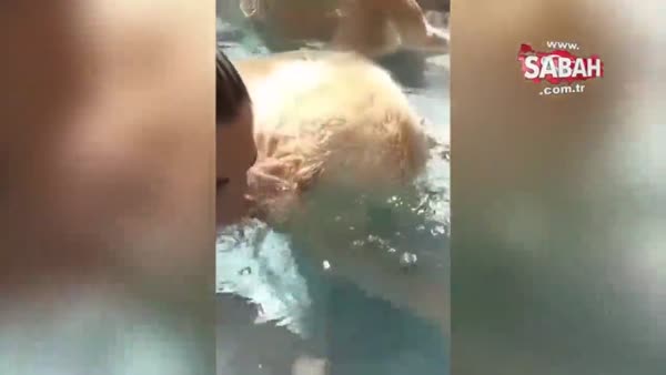 Havuz'da sahibini taklit eden sevimli köpek
