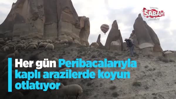 Kapadokya vadilerinin çobanı