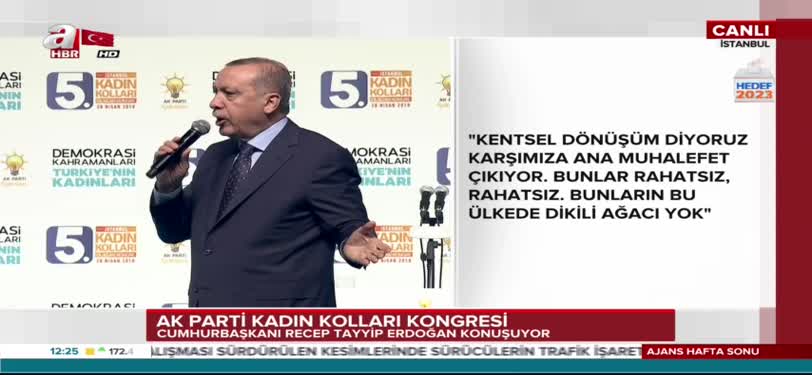 Cumhurbaşkanı Erdoğan 