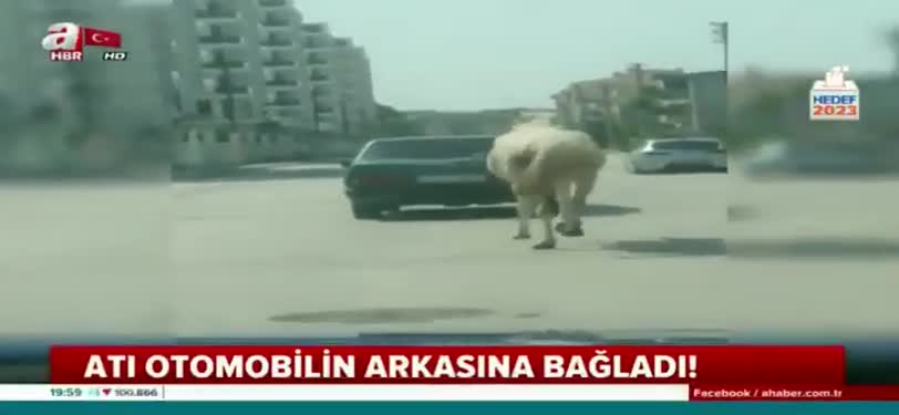 Atı otomobilin arkasına bağladı!