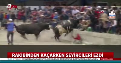 Erzurum’da boğa seyircilerin arasına böyle daldı