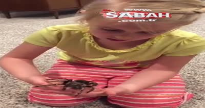 Küçük kızın tarantula sevgisi kamerada