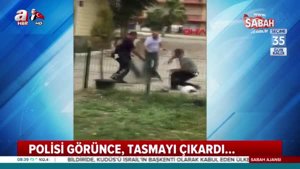İzmir'de pitbull dehşeti! Polisin üzerine saldırdı