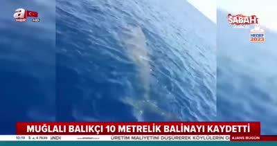 Muğlalı balıkçı 10 metrelik balinayı böyle görüntüledi