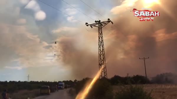 Son Dakika Haber: Çanakkale'de orman yangını!