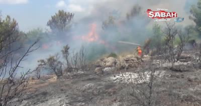 Antalya’daki yangın kontrol altına alındı
