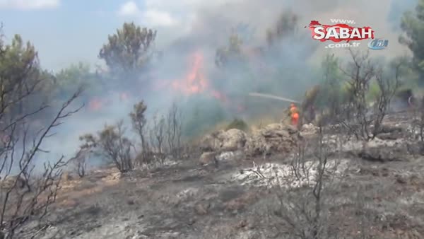 Antalya'daki yangın kontrol altına alındı