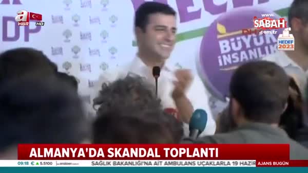 Can Dündar ve Cem Özdemir HDP'ye oy istedi