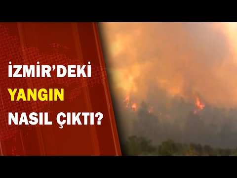 İzmir'de 400 Hektar Yangından Zarar Gördü! 
