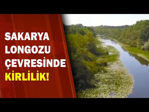 Longozun Yakınındaki Derede Kirlilik!