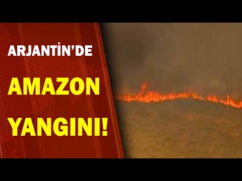 Arjantin'de Amazon Yangını, 16 Bin Hektarlık Alan Kül Oldu! 