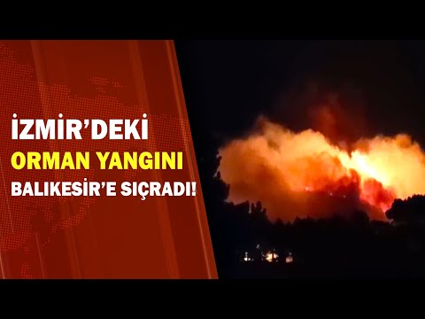 İzmir'de Ormanda Başlayan Yangın Balıkesir'e Sıçradı