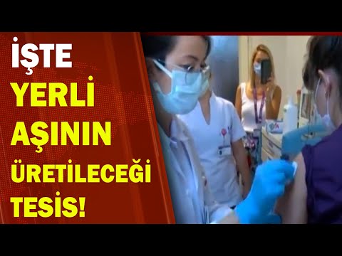 Türkiye Yerli Aşı Üretiminde Hangi Aşamada? 