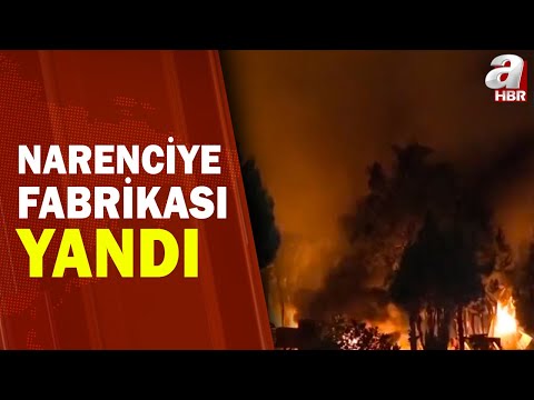 Mersin'de Narenciye Fabrikasını Alevler Sardı 