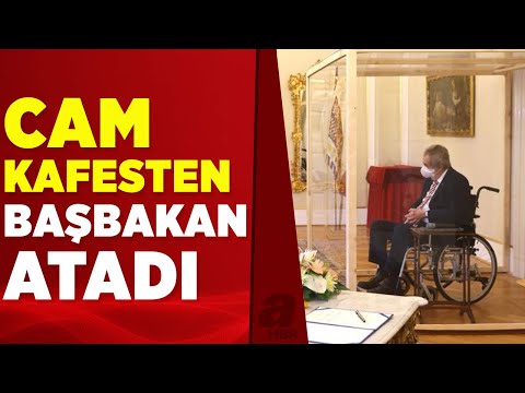 Çek Cumhurbaşkanı Zeman, yeni başbakanı cam kafes içinden atadı