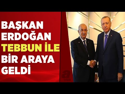 Başkan Erdoğan, Cezayir Cumhurbaşkanı Tebbun ile bir araya geldi