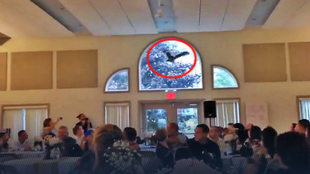 16 Nisan çok izlenen videolar